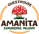 Tsagarada Pelion – AMANITA guesthouse for nature and food lovers – Manor for accommodation Holidays Trekking Gastronomy