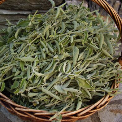 basket-with-sage